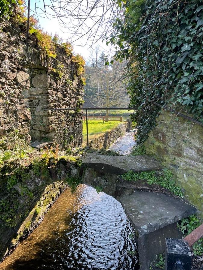 Woodstock Courtyard Apartment Inistioge Exterior photo